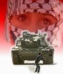 فلسطين:  النقاط العشـر :::