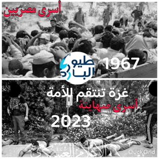 شتان ما بين نكسة ال 67 و عزة غزة 2023
