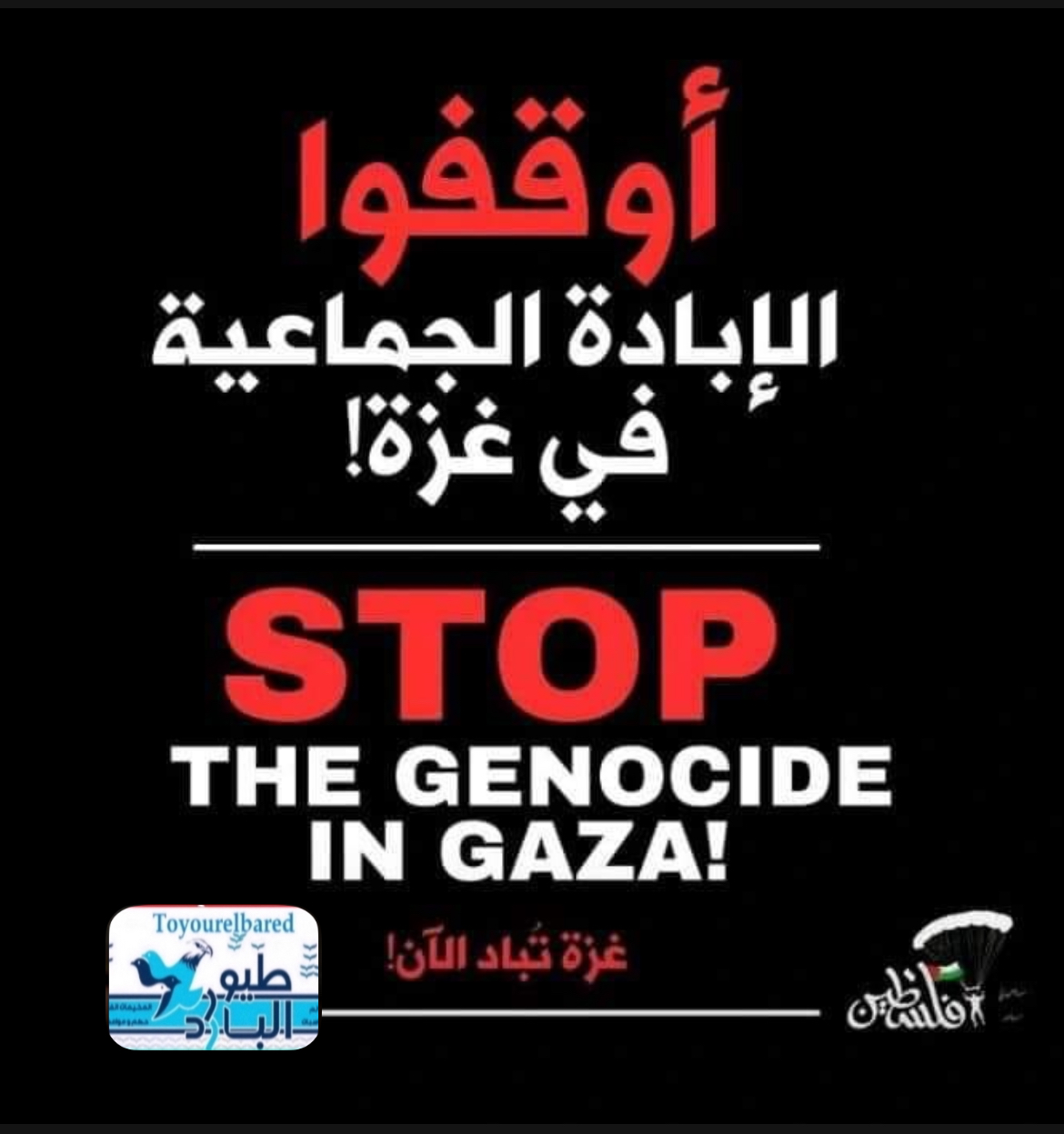 كندا: الهجوم الإسرائيلي على رفح سيكون مدمرا