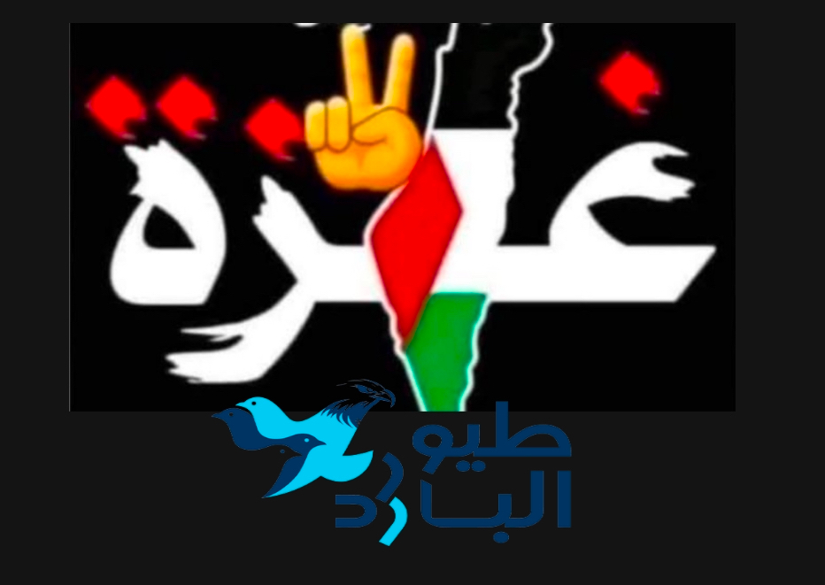 جودة لفلسطيننا: غزة تواجه إبادة ممنهجة والتهدئة المطروحة مجرد إعادة تموضع سياسي لا وقف حقيقي للحرب