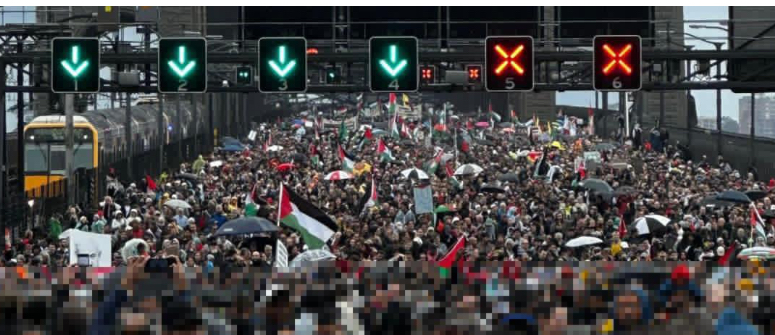 بالرغم من الأمطار والطقس البارد.. سيدني تشهد أضخم تظاهرة دعما لفلسطين!..