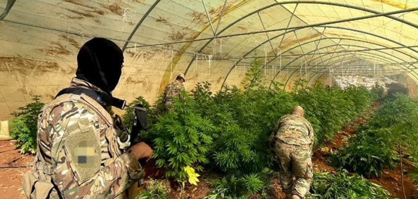 هل يصل لبنان إلى "صفر مخدرات"؟