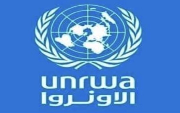 *مديرة الأونروا في لبنان تعرض مع رئيس لجنة الشؤون الخارجية اللبنانية أزمة الأونروا المالية*