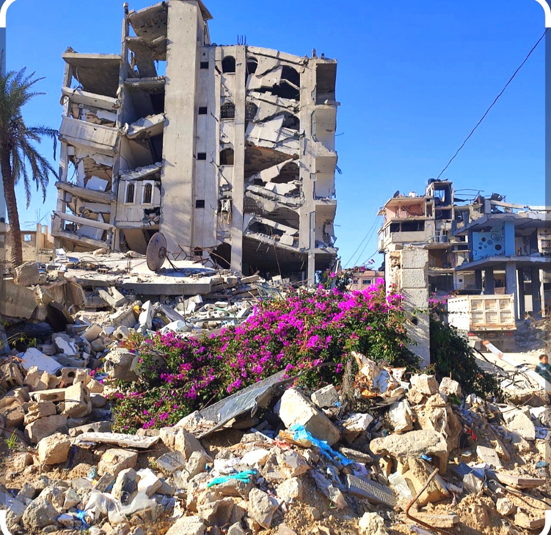 بين ركام المدن وصمت البطالة… وجع الشعوب العربية يكبر كل يوم..*