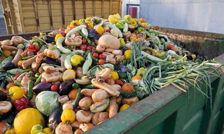 توقعات بخسارة 540 مليار دولار بسبب هدر الطعام في عام 2026 التخلص من أكوام الغذاء يحول النظام الغذائي العالمي إلى كابوس مقلق