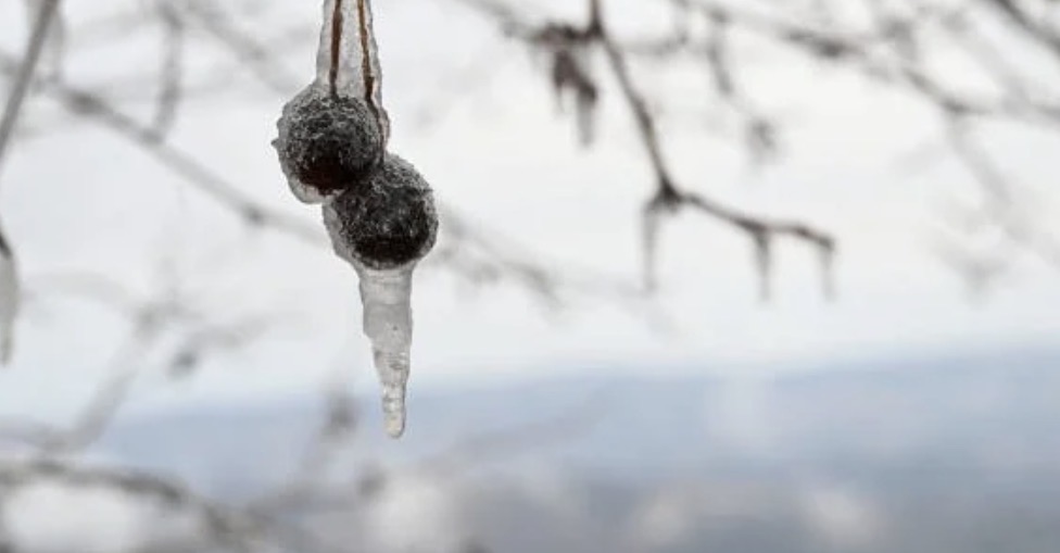استعدوا لبرودة قد تمتدّ إلى عشرة أيام… وموجة صقيع في الطريق
