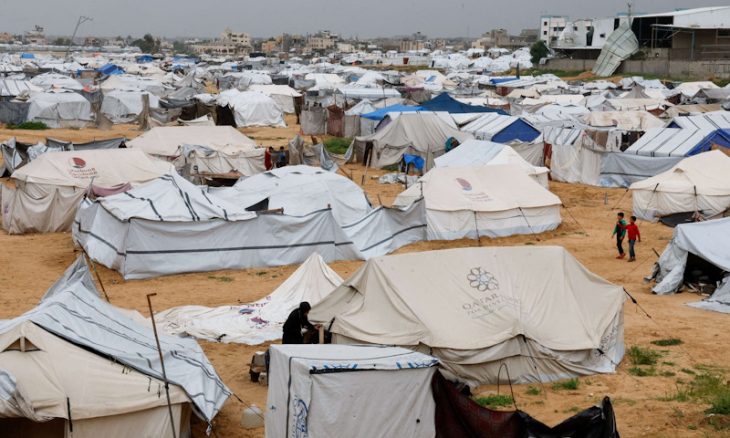 أونروا: الجرذان تعض أطفال غزة أثناء نومهم في الخيام