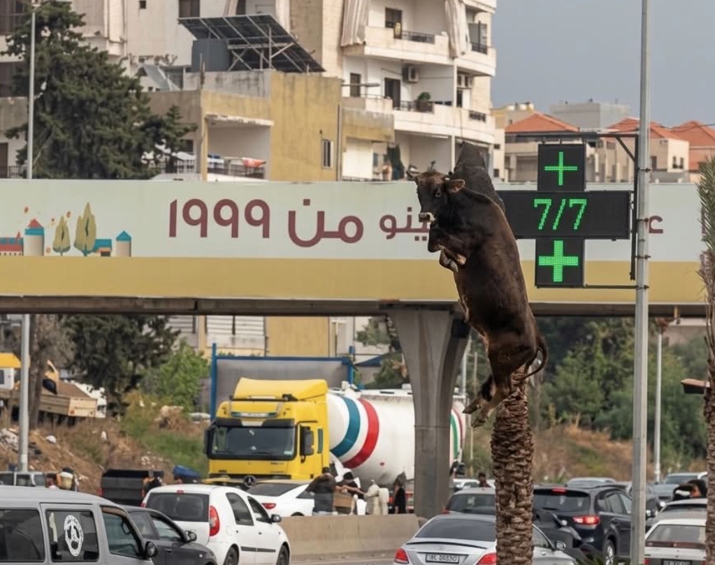من "كمين" على طريق المطار إلى توتر في الناعمة… ماذا جرى؟