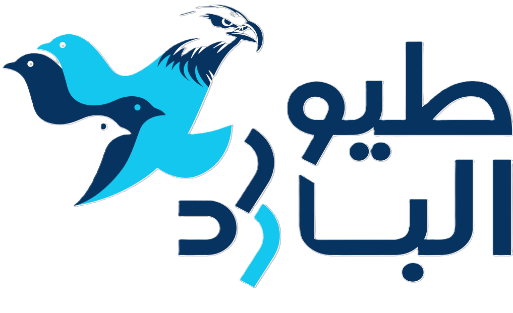 عاجل.. مسؤول في حزب الله لرويترز: الجماعة لم تنفذ أي عمليات منذ الإعلان عن الاتفاق الإيراني الأمريكي